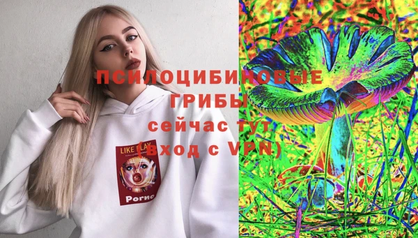 винт Медвежьегорск